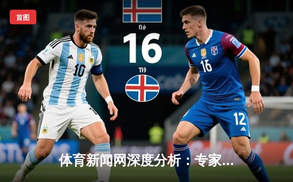 体育新闻网深度分析：专家解读